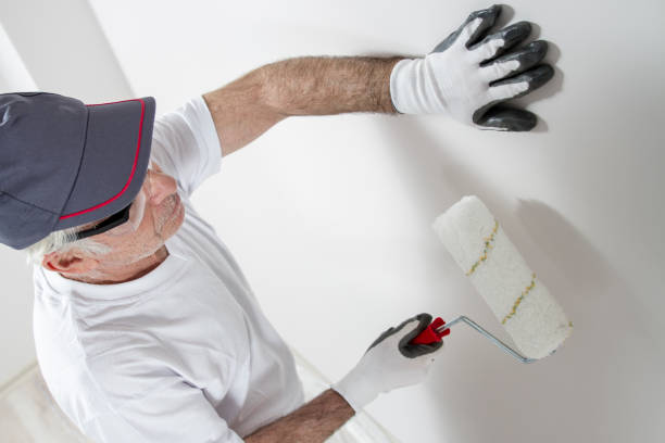 Best Attic Mold Removal  in Arlington Heights, IL