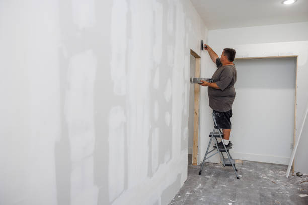 Best Mold Removal for HVAC Installations  in Arlington Heights, IL