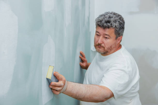 Best Water Damage & Mold Remediation  in Arlington Heights, IL